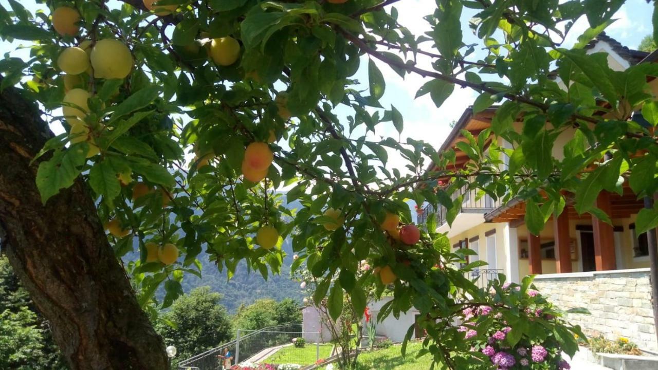 דירות Villadossola Cat Marvei מראה חיצוני תמונה